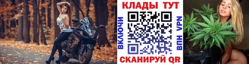 Купить закладку NBOMe  МЕФ  Cocaine  Альфа ПВП  Гаврилов Посад