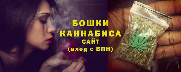 молекула духа Киреевск