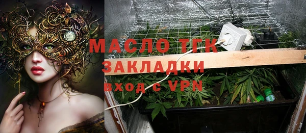 молекула духа Киреевск