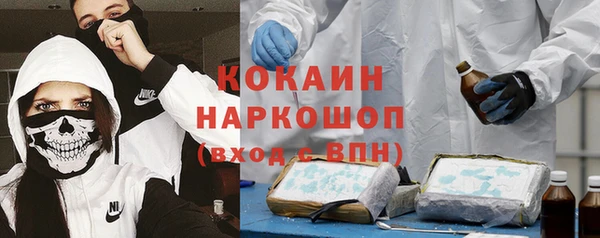молекула духа Киреевск